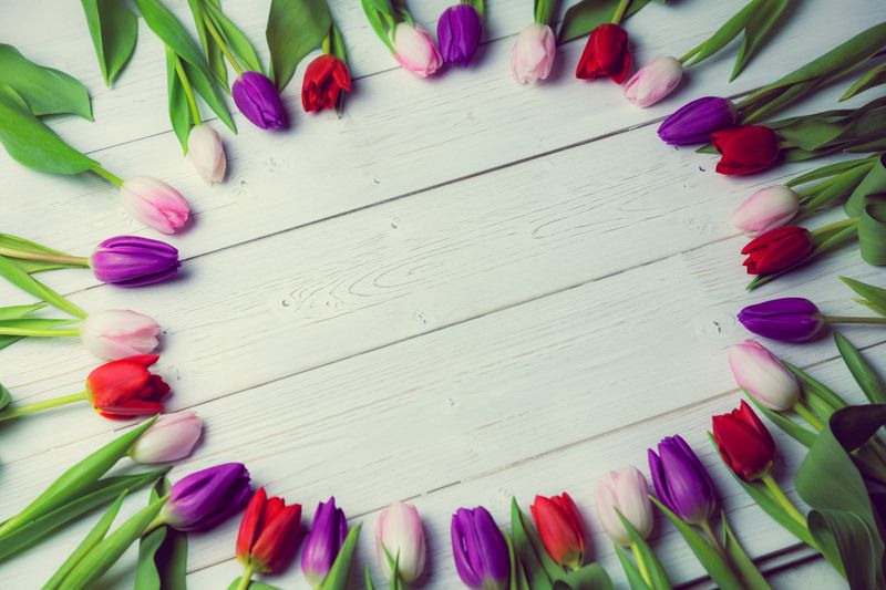 Tulips forming frame 