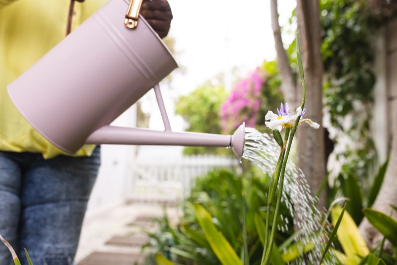 Senior african american woman watering plants in garden at home