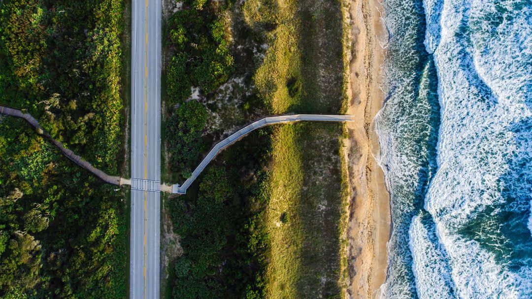 Image of a forest and seashore taken from above - How high quality images can enhance your content - Image
