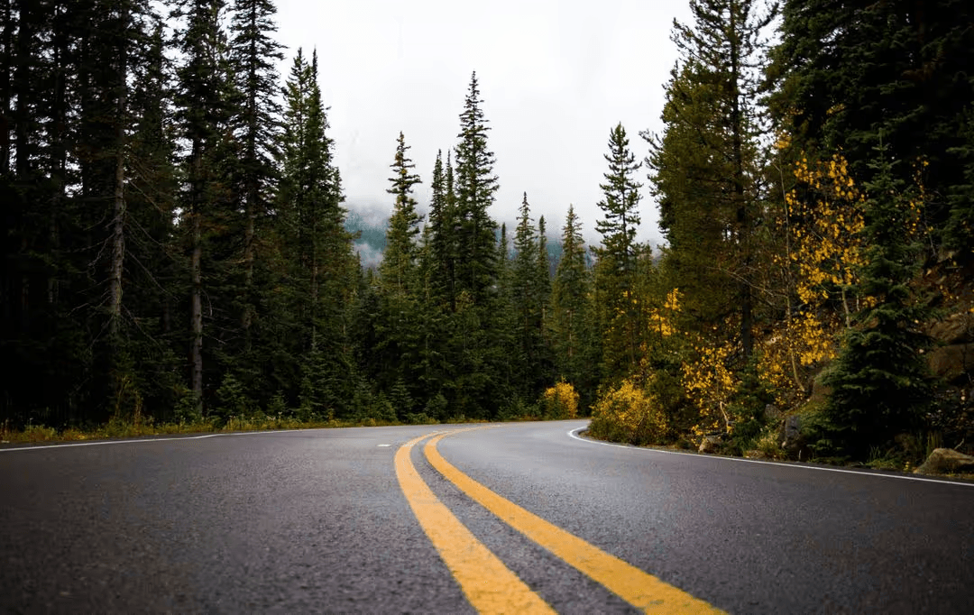 Landscape photograph of yellow line on grey road - How to use color harmonies in photography - Image
