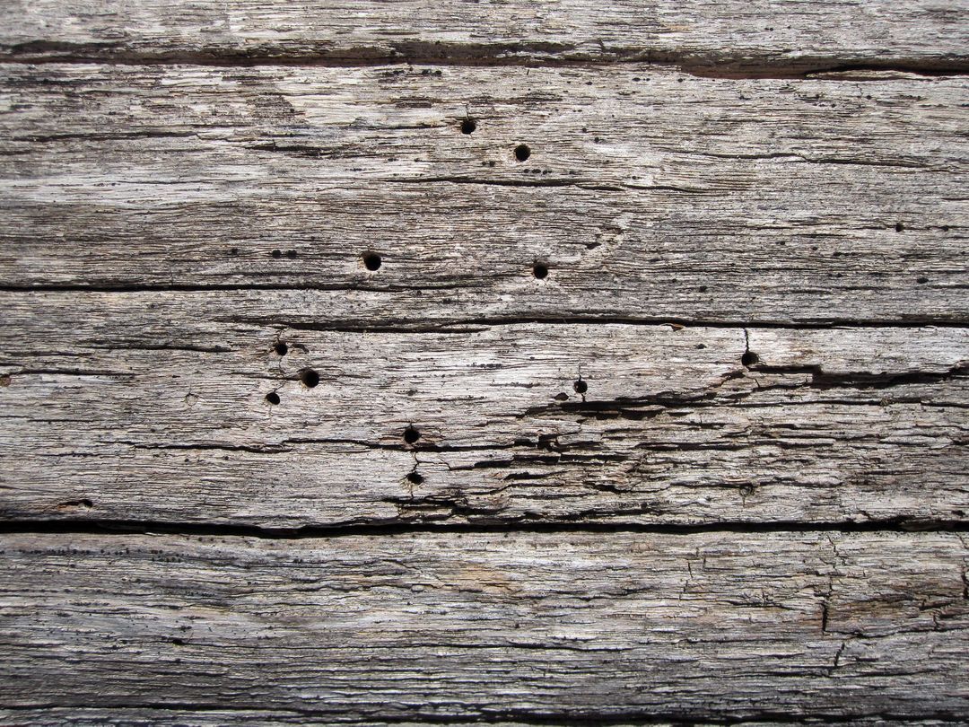 Image of a wooden wallpaper - A selection of great images for virtual Zoom backgrounds from the PikWizard team - Image