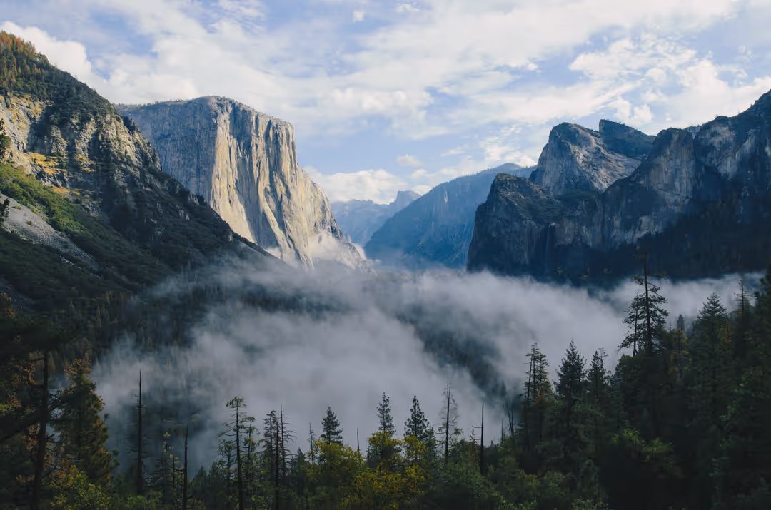 Image of a misty forest and mountains - A selection of great images for virtual Zoom backgrounds from the PikWizard team - Image