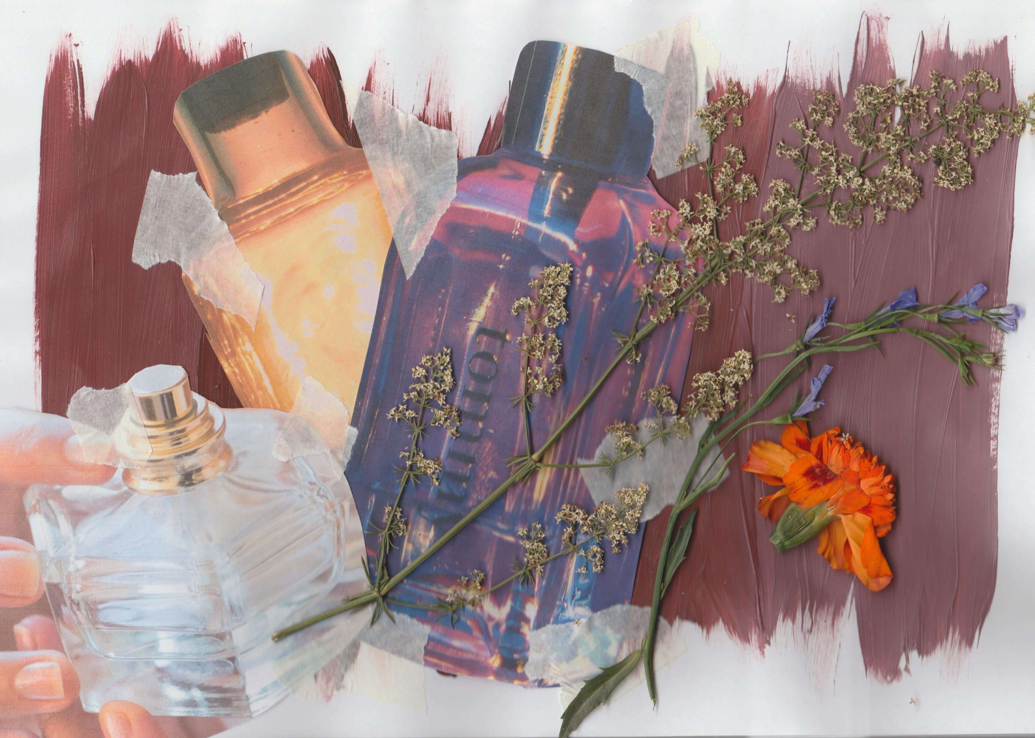 Perfume brand identity collage with images a paint stroke background, images of perfume bottles and flowers stuck on - Create engaging photo collages: a complete guide - Image