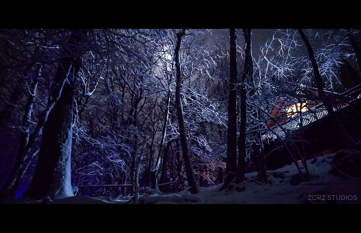 Night shot of a house in a snowy forest, illuminated by moonlight - How minimalism and maximalism can complement each other - Image