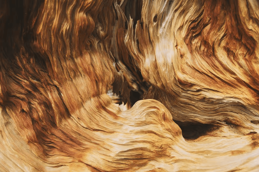 Abstract brown painting swatches - How to create a perfect modern color scheme for your website - Image