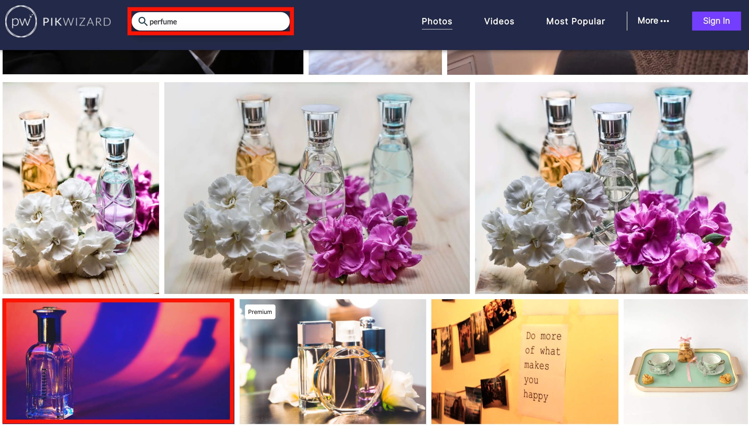 Screenshot of the Pikwizard search bar highlighted in red, with relevant images showing and one highlighted in red - Create engaging photo collages: a complete guide - Image