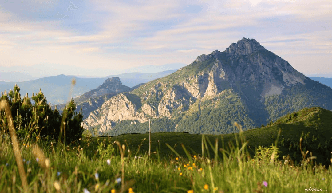 Image of an open green field with flowers and mountain range in the background - How to make a beautiful mood board with free online tools - Image