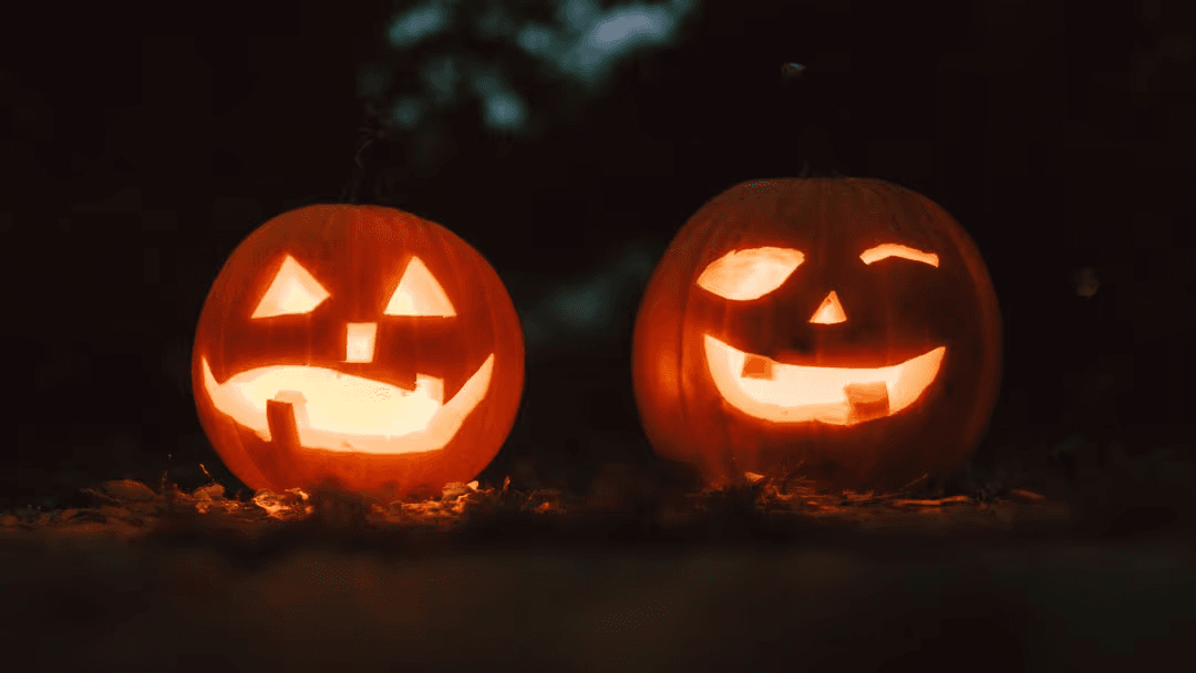 Image of two pumpkin laterns - A selection of engaging Halloween images from the PikWizard team - Image