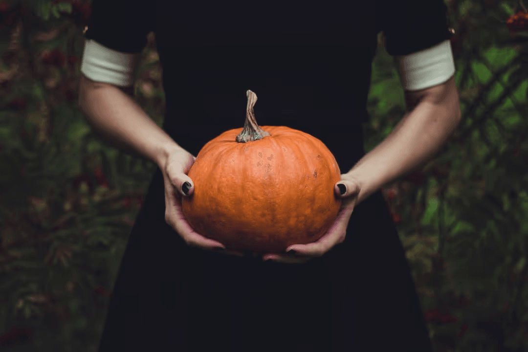 Image of a woman holding a pumpkin - A selection of engaging Halloween images from the PikWizard team - Image