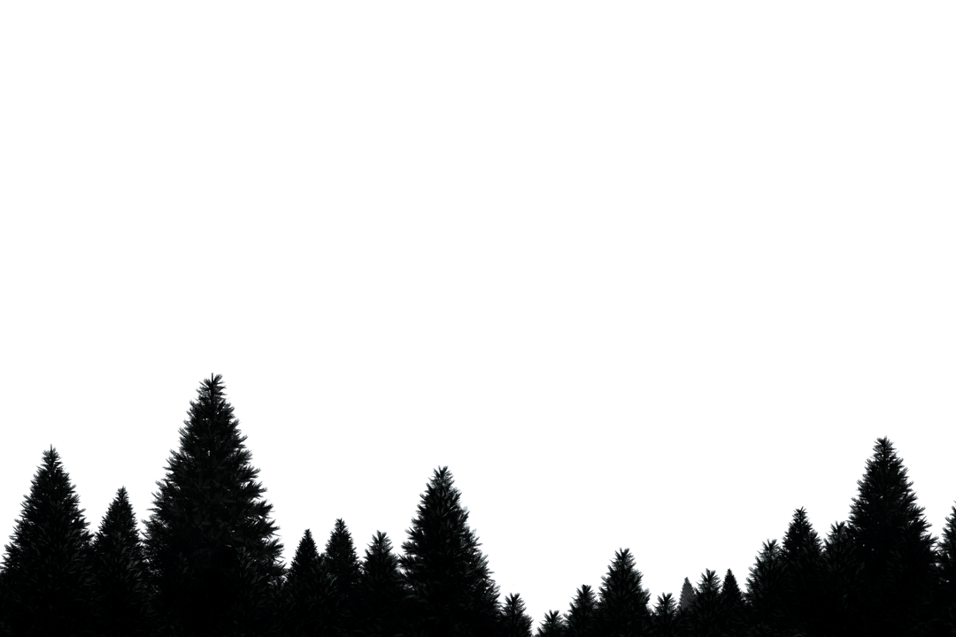 Transparent Forest Landscape with Isolated Trees