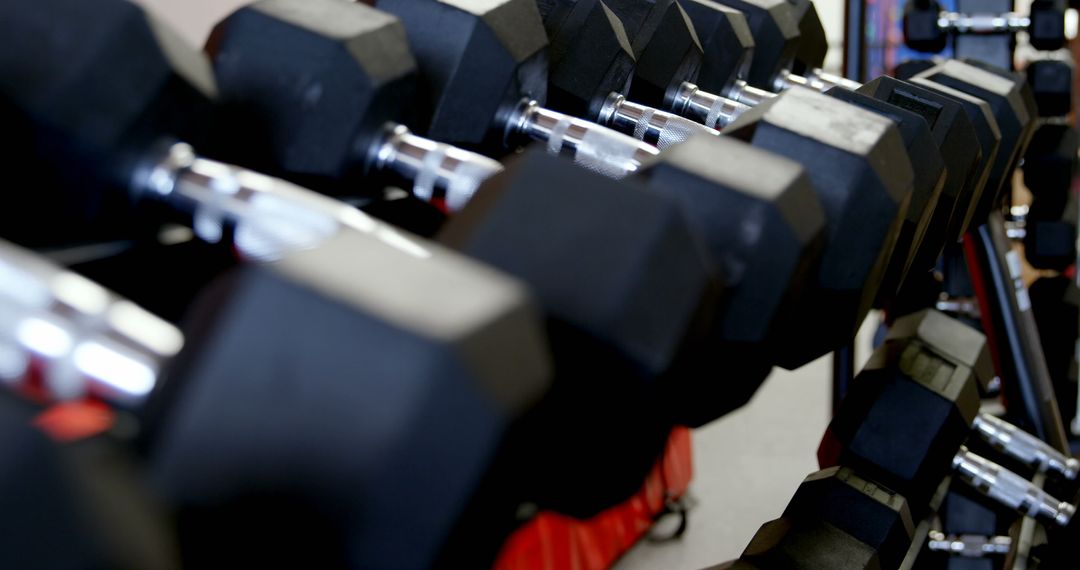 Close-Up View of Dumbbells on Rack in Fitness Studio