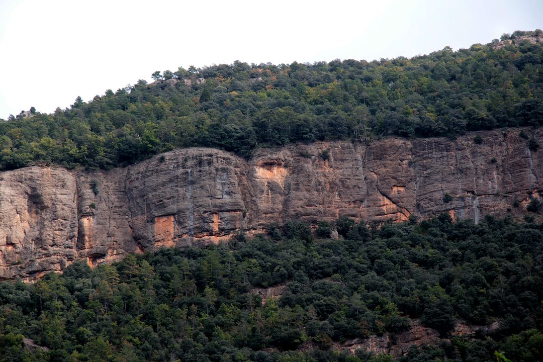 Rocky Cliffside with Dense Green Foliage - Free Images, Stock Photos and Pictures on Pikwizard.com