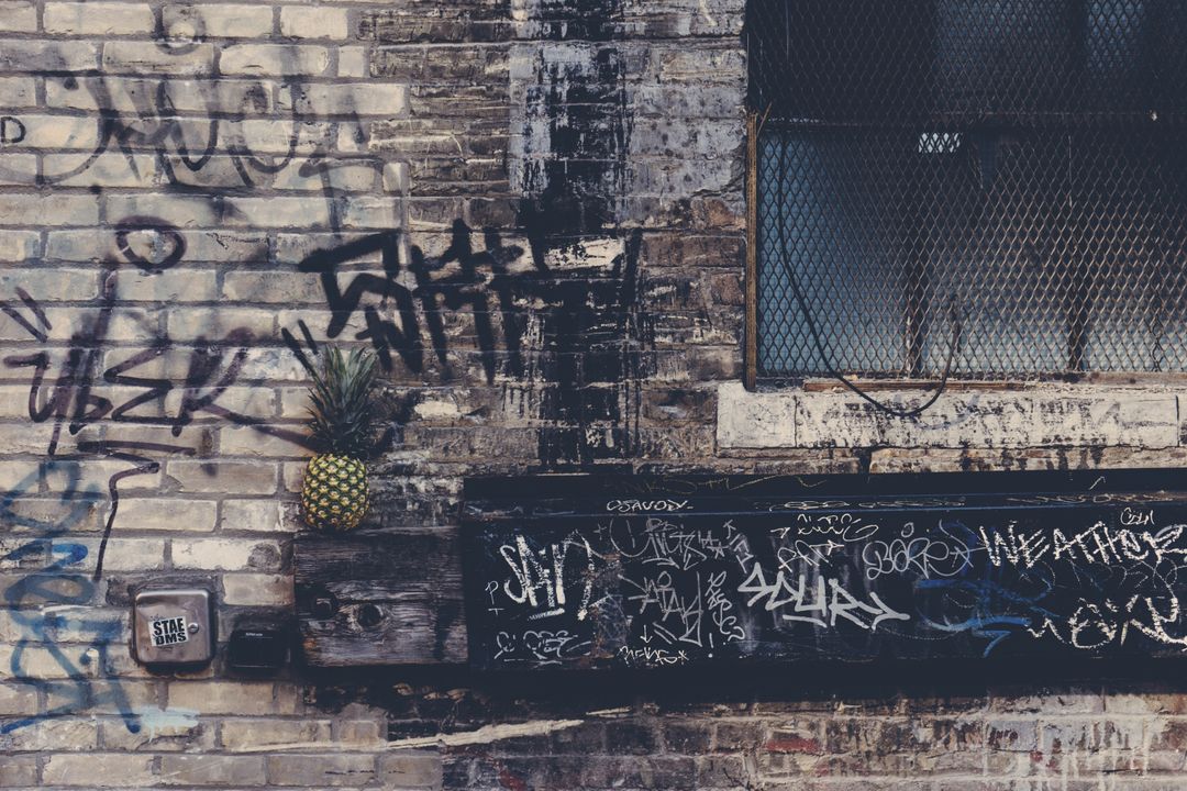 Pineapple on Graffiti-Covered Brick Wall - Free Images, Stock Photos and Pictures on Pikwizard.com