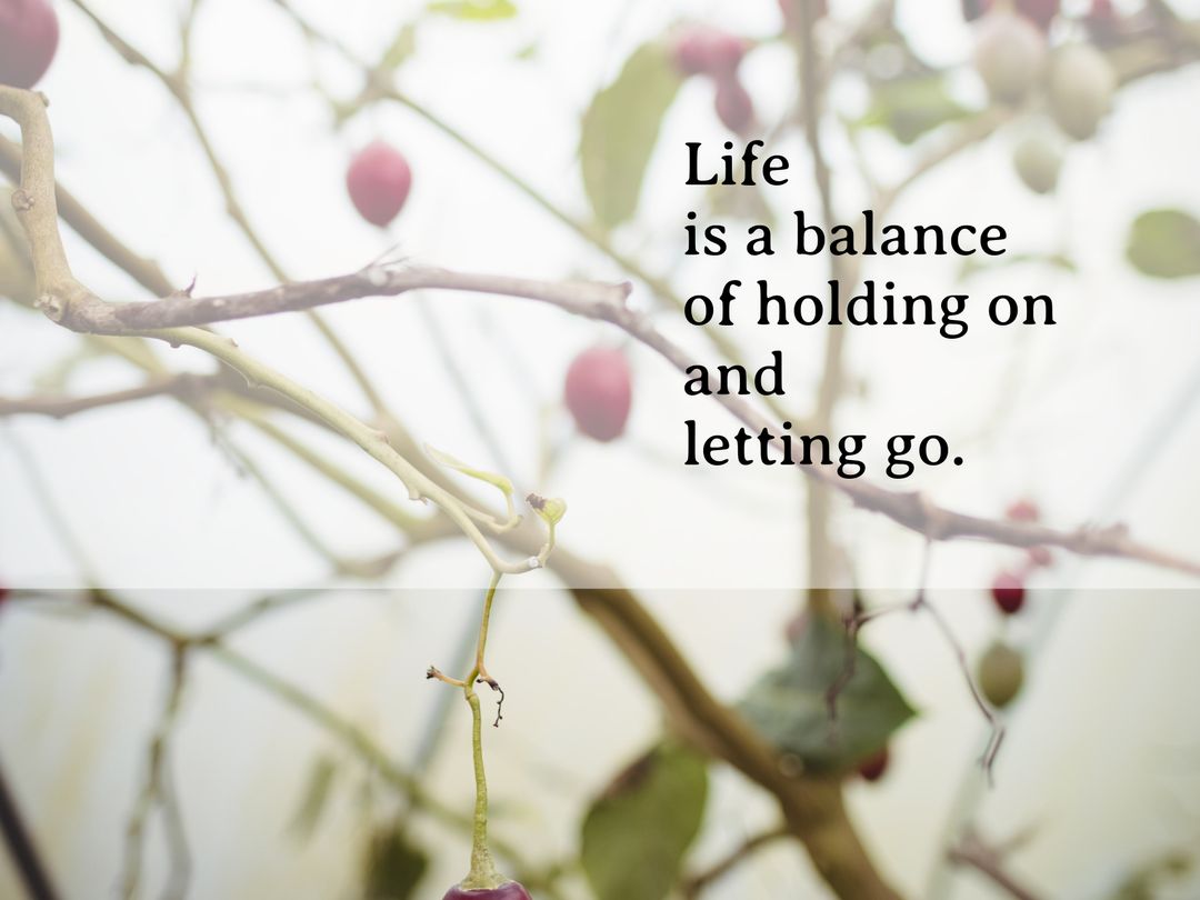 Branches with Berries and Motivational Quote on Balance and Resilience - Download Free Stock Templates Pikwizard.com