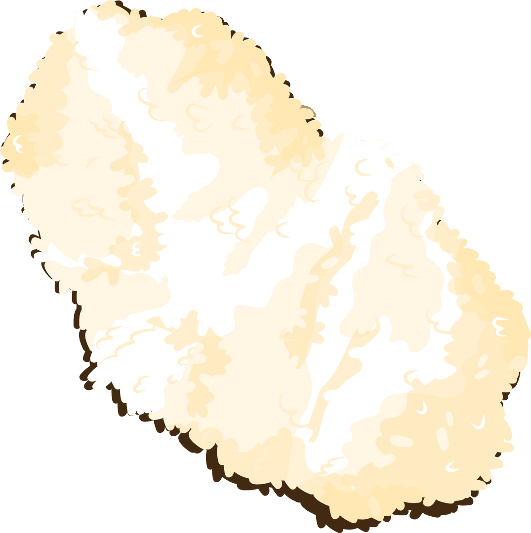 Cauliflower Floret Illustration on Transparent Background