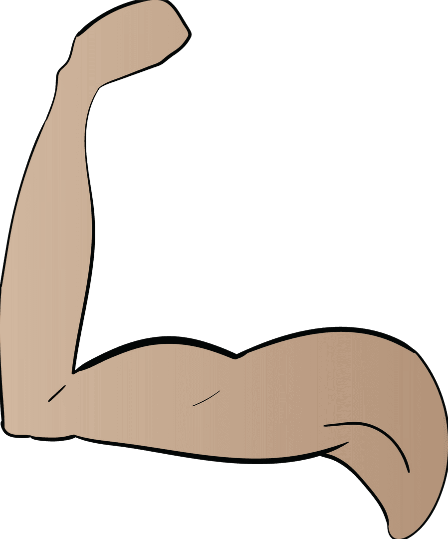 Transparent Vector Art of Flexed Bicep Muscle