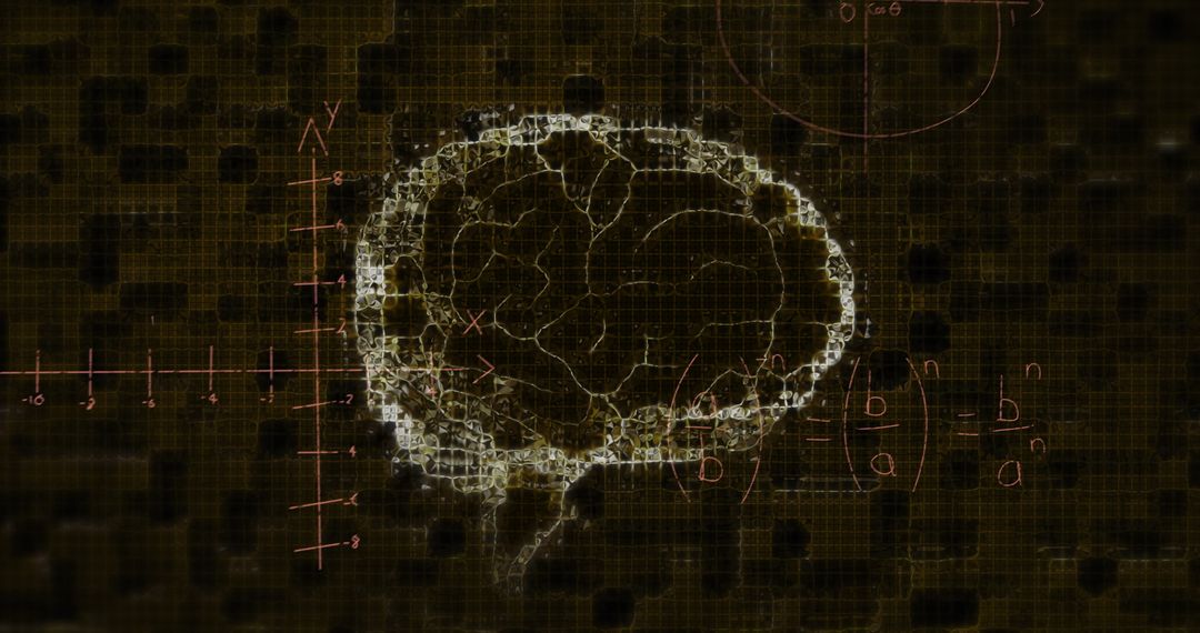 Digital Visualization of Brain Network with Formulas and Coordinates