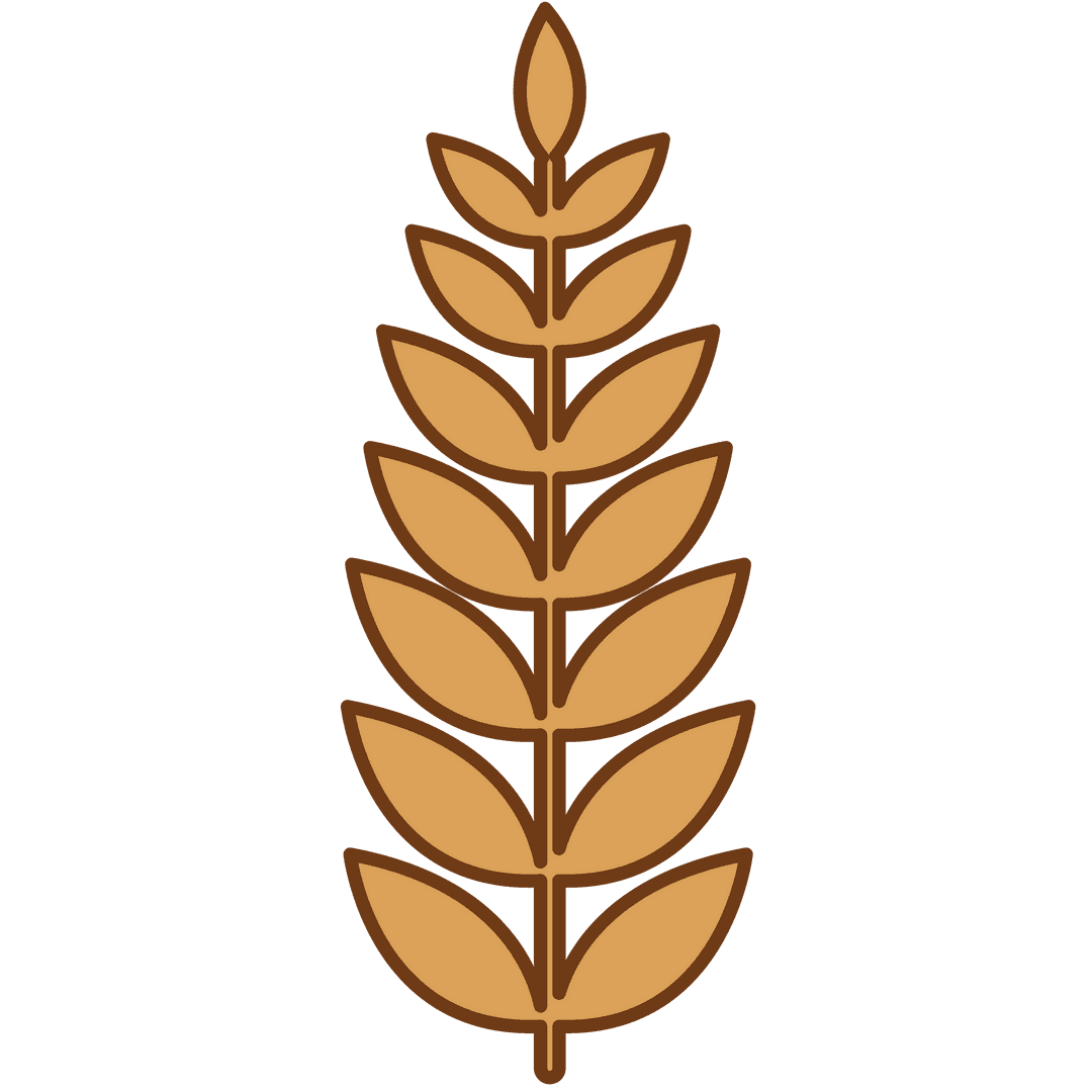 Transparent Wheat Cereal Symbol Illustration for Agriculture