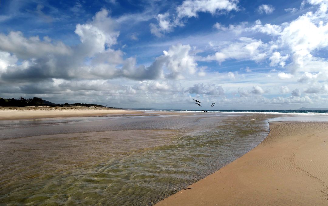 Seabirds flying over empty tidal beach with dramatic cloudscape and winding sandy inlet