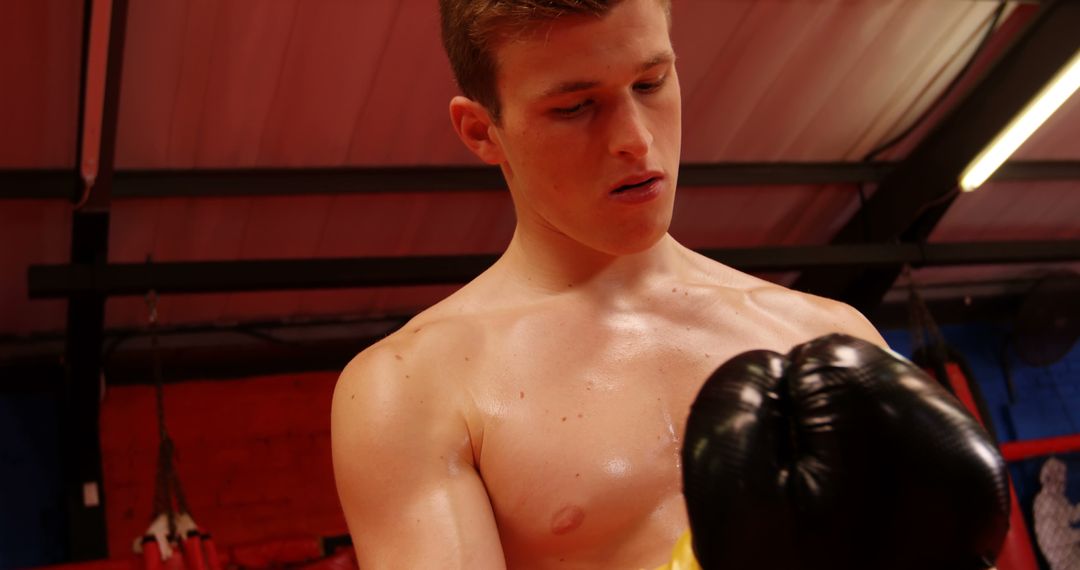 Young Male Boxer Preparing for Training in Gym - Free Images, Stock Photos and Pictures on Pikwizard.com