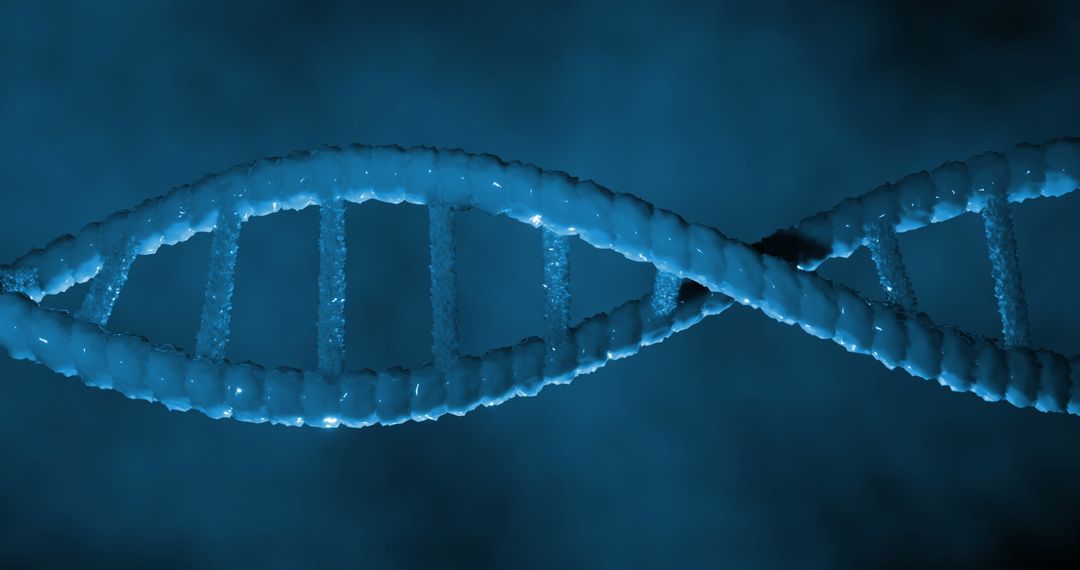 3D Blue DNA Strand Visualization in Motion