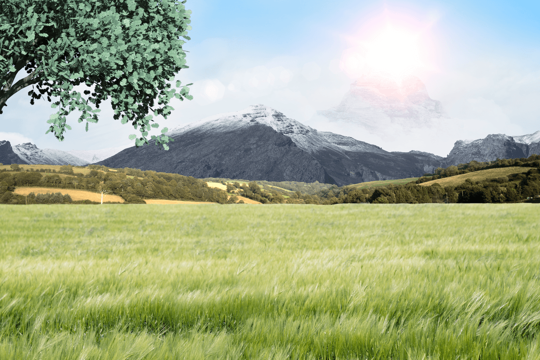 Scenic Transparent Landscape with Fields and Mountains