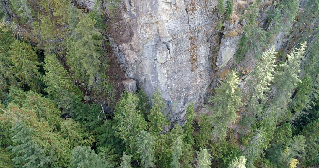 Aerial View of Dense Evergreen Forest with Rocky Cliffs - Free Images, Stock Photos and Pictures on Pikwizard.com
