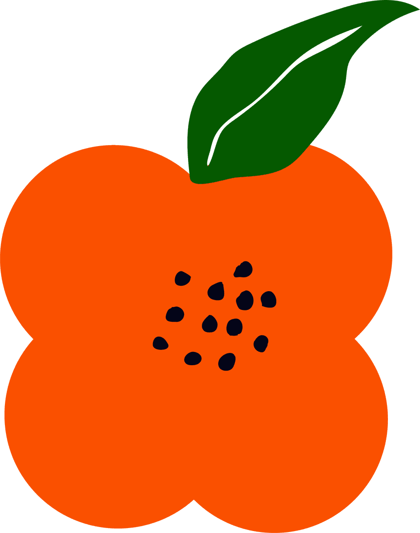 Flat Orange Cross-Section with Leaf on Transparent Background