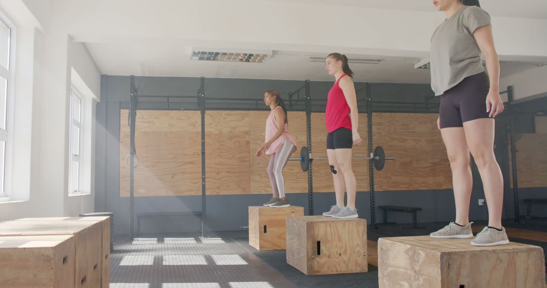 Group of Women Performing Box Jumps in Fitness Gym - Free Images, Stock Photos and Pictures on Pikwizard.com