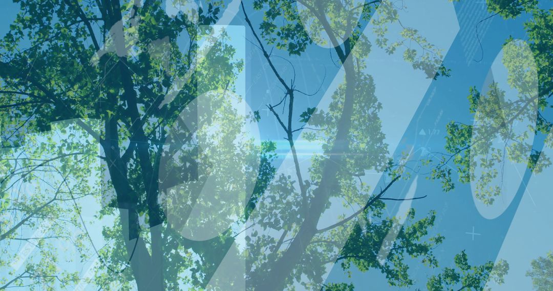 Abstract Nature with Tree Canopy and Translucent Shapes