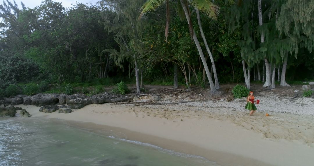 Tropical Beach with Lush Greenery and Hawaiian Dancer in Traditional Outfit - Free Images, Stock Photos and Pictures on Pikwizard.com