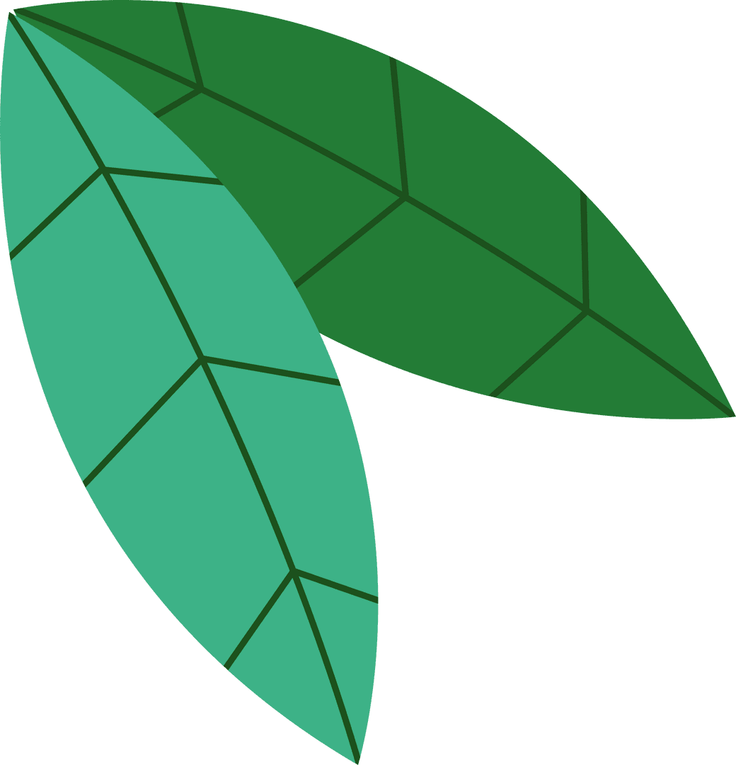 Two Stylized Green Leaves on Transparent Background