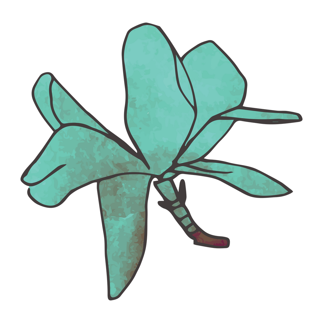 Green Flower and Leaves Illustration on Transparent Background - Download Free Stock Images Pikwizard.com