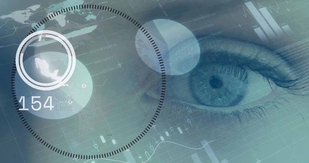 Digital Interface and Global Data Processing Over Eye