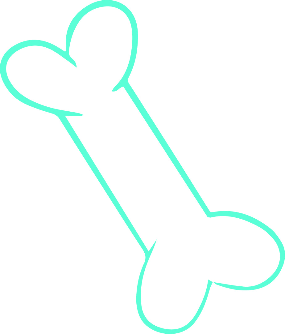 Stylized Turquoise Dog Bone Outline on Transparent Background