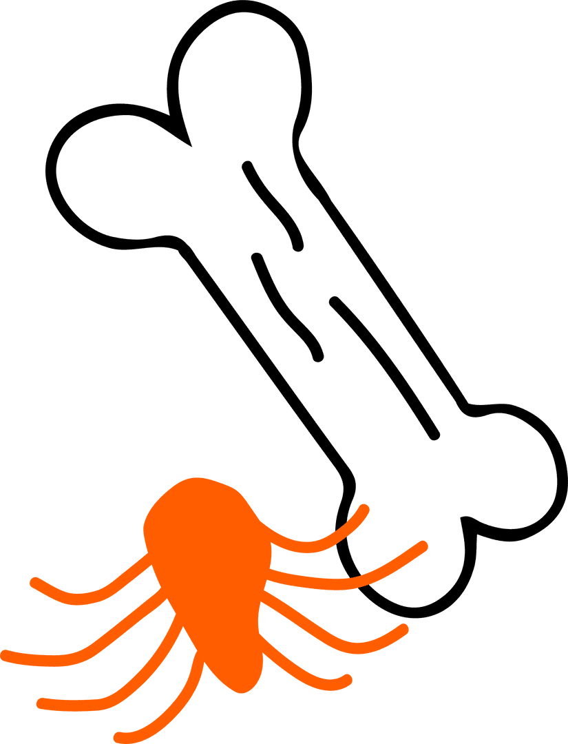 Whimsical Stylized Bone and Spider Graphic on Transparent Background