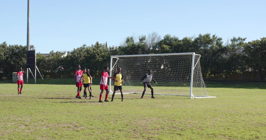 Soccer Players in Action During Match on Grass Field