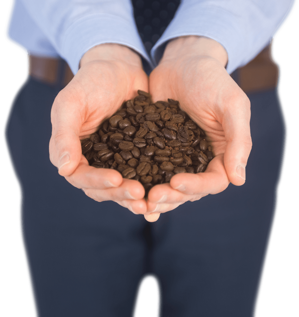 Transparent Hands Holding Coffee Beans Business Concept