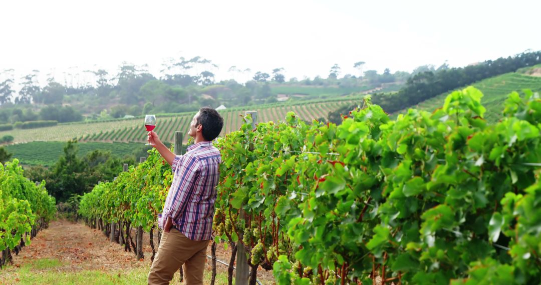 Man Enjoying Red Wine in Vineyard on Sunny Day - Free Images, Stock Photos and Pictures on Pikwizard.com