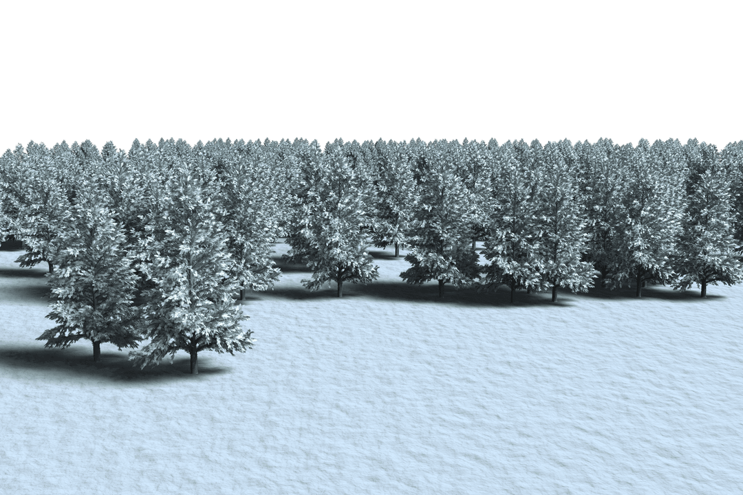 Winter Christmas Forest on Transparent Background