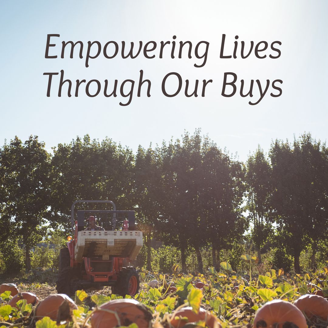 Promoting Fair Trade with Pumpkin Farm Harvest