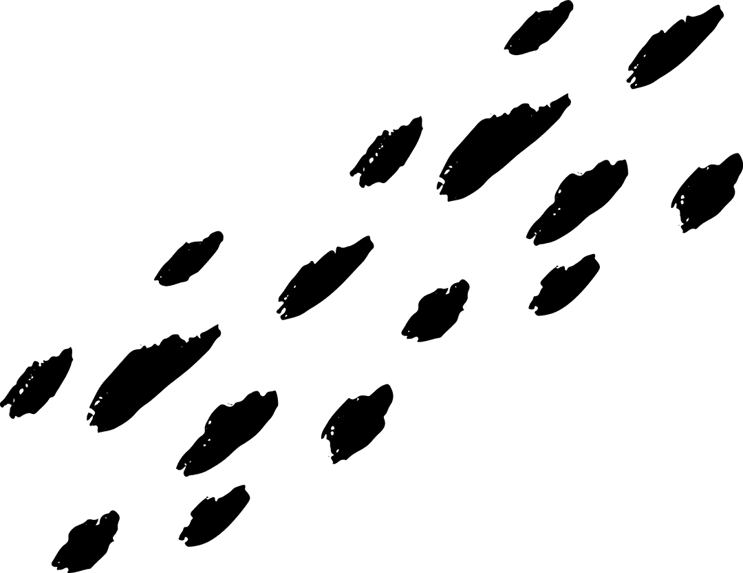 Black Brush Strokes on Transparent Background for Modern Design