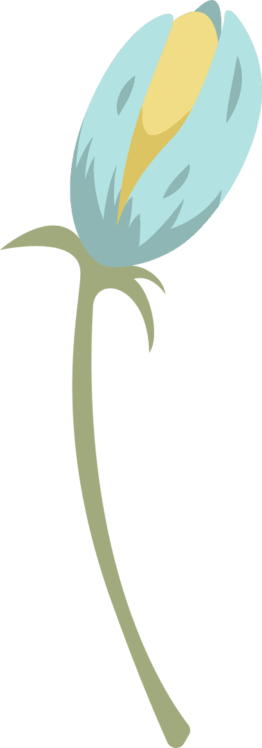 Minimalistic Blue and Yellow Flower Bud on Transparent Background