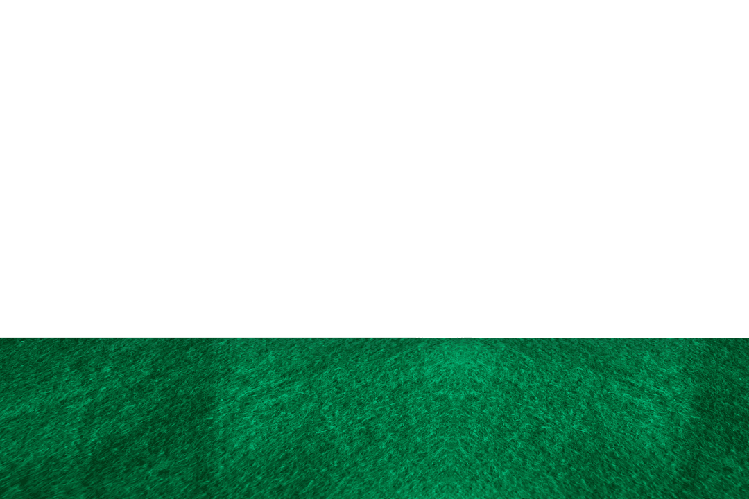 Transparent Background of Close-Up Grassland Texture and Design