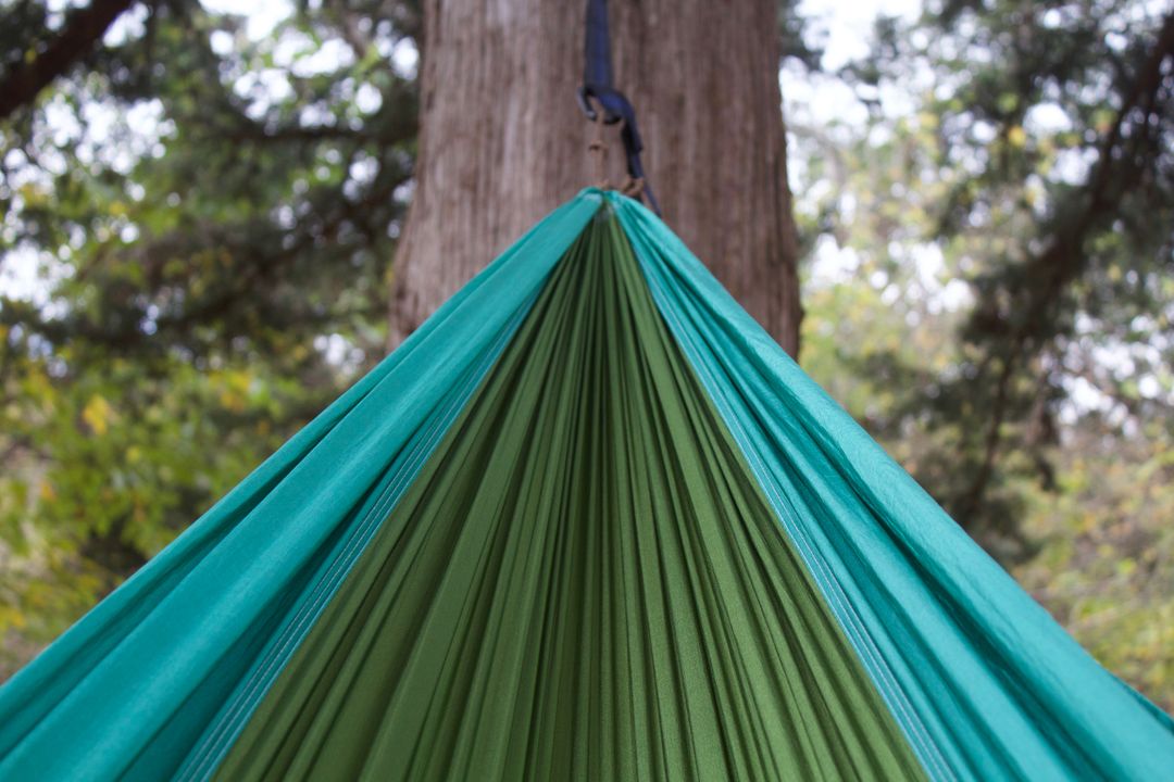 Colorful Hammock Hanging Between Trees in Peaceful Forest - Free Images, Stock Photos and Pictures on Pikwizard.com