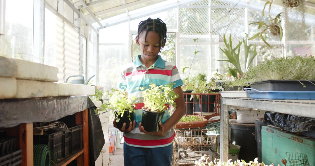 Young Boy Tending to Plants in Greenhouse with Sunlight - Free Images, Stock Photos and Pictures on Pikwizard.com