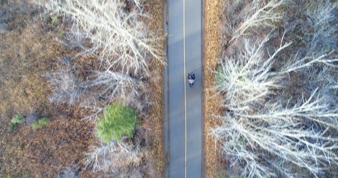 Aerial View of Motorcyclist Riding Through Forest Road in Autumn - Free Images, Stock Photos and Pictures on Pikwizard.com