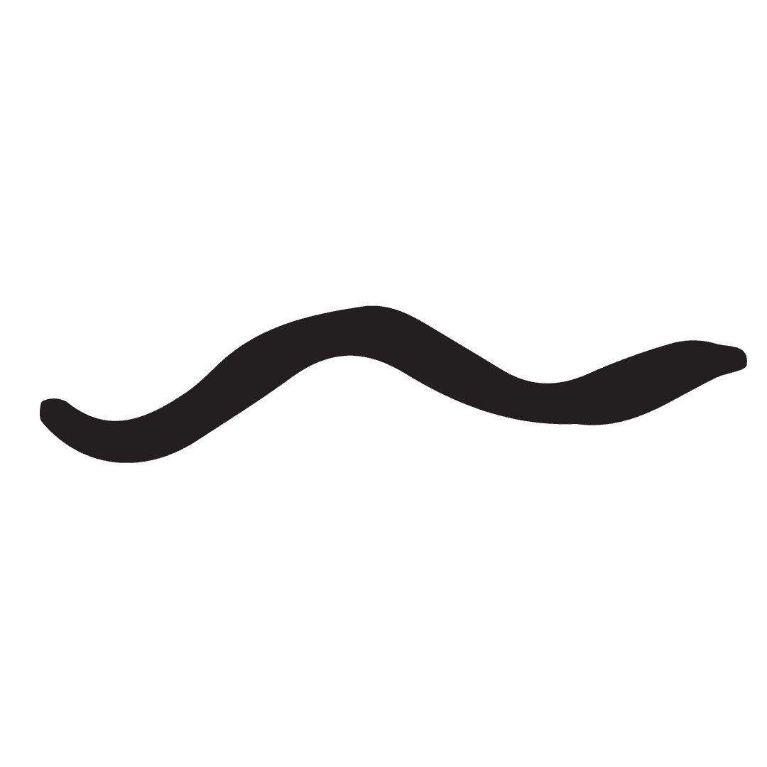 Wavy Black Line on Transparent Background Vector