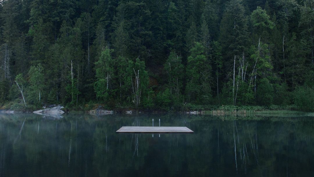 Floating Dock on Calm Forest Lake Surroundings at Dawn