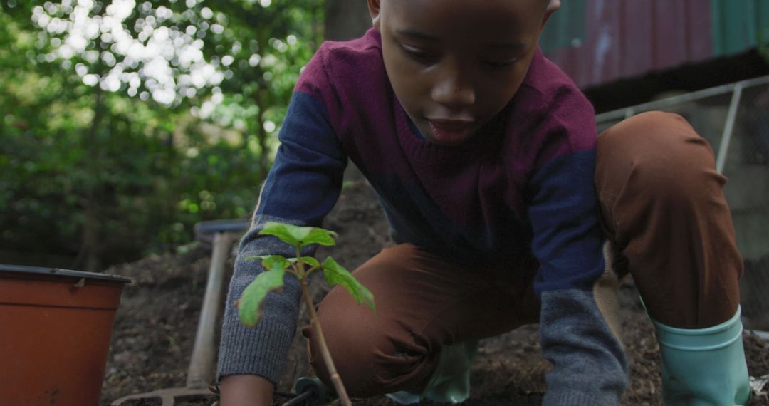 Young Boy Planting Sapling in Garden - Free Images, Stock Photos and Pictures on Pikwizard.com